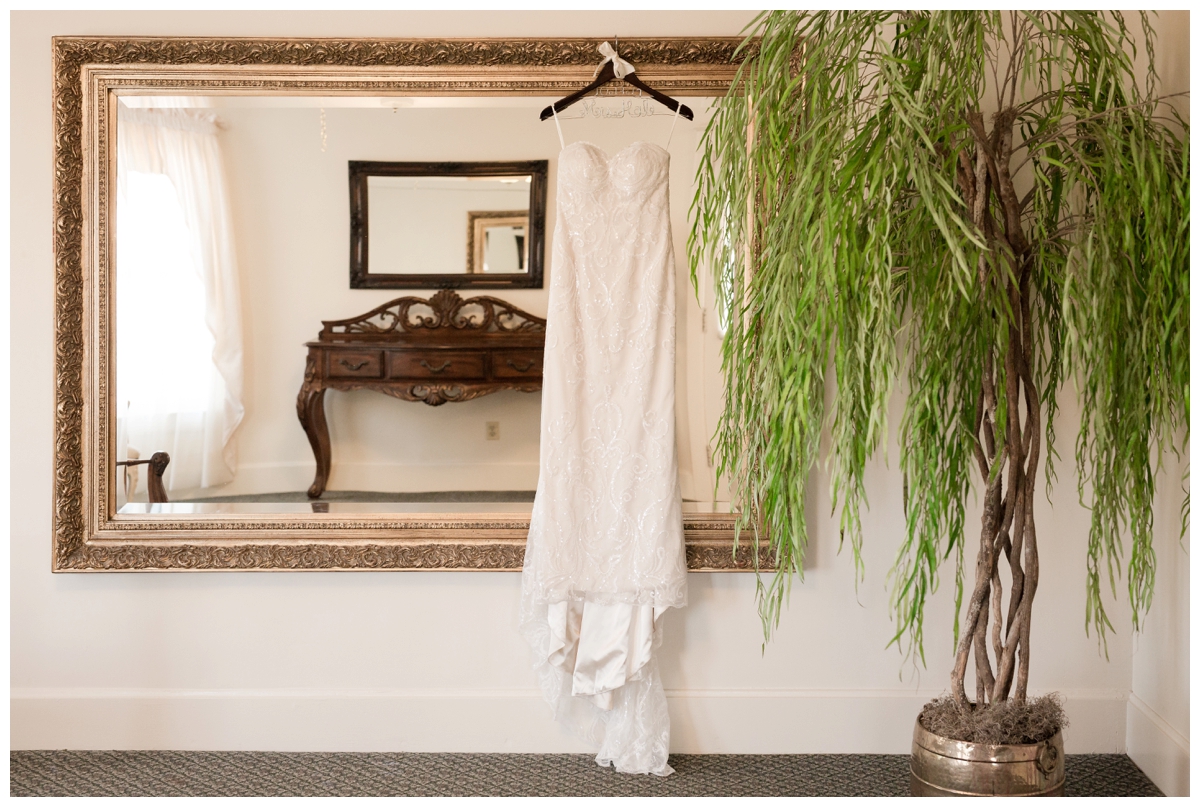 Bride's dress hanging on a mirror with a tree