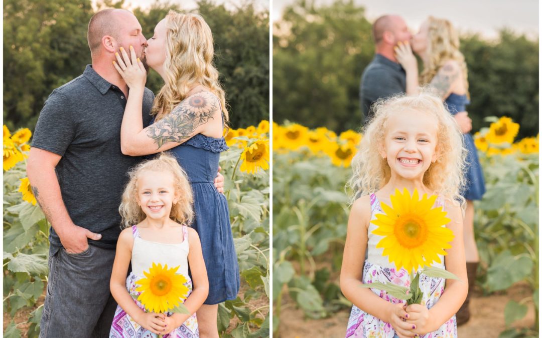 Kristen & Gary | Sunflower Engagement Session