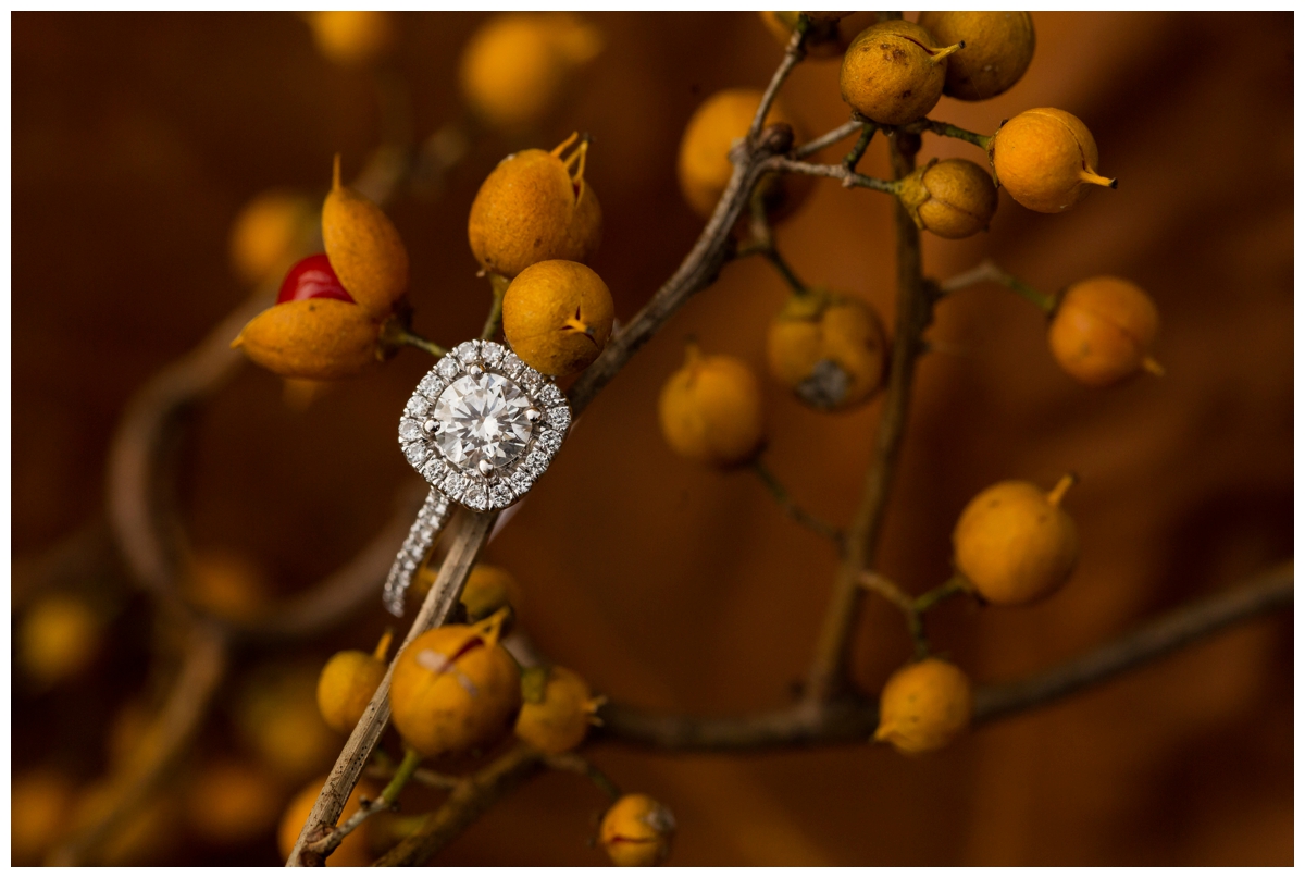 Fall Lake Hashawa engagement session. Engagement ring with leaves and berry