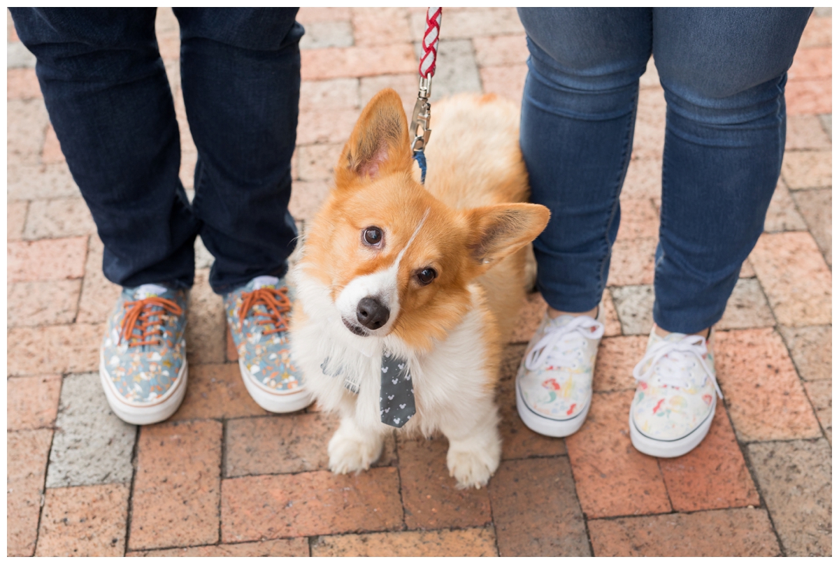 Engaged Couple with Corgi Disney Themed Frederick Maryland photos. Engagement photos of shoes