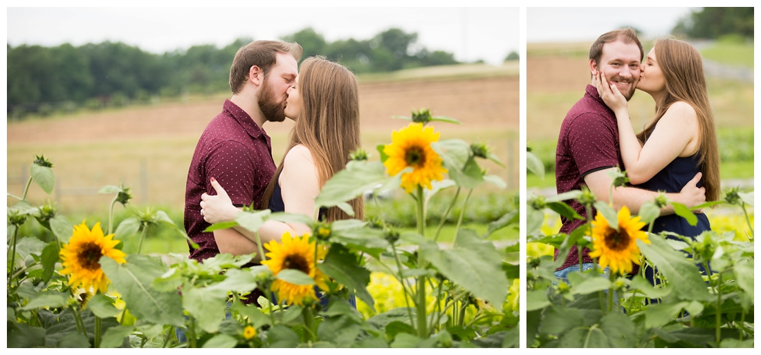 Woodbine Maryland Larriland Farm Engagement Photos. Baltimore Maryland Wedding photos. Engagement photos in a field. Sunflower engagement photos. 