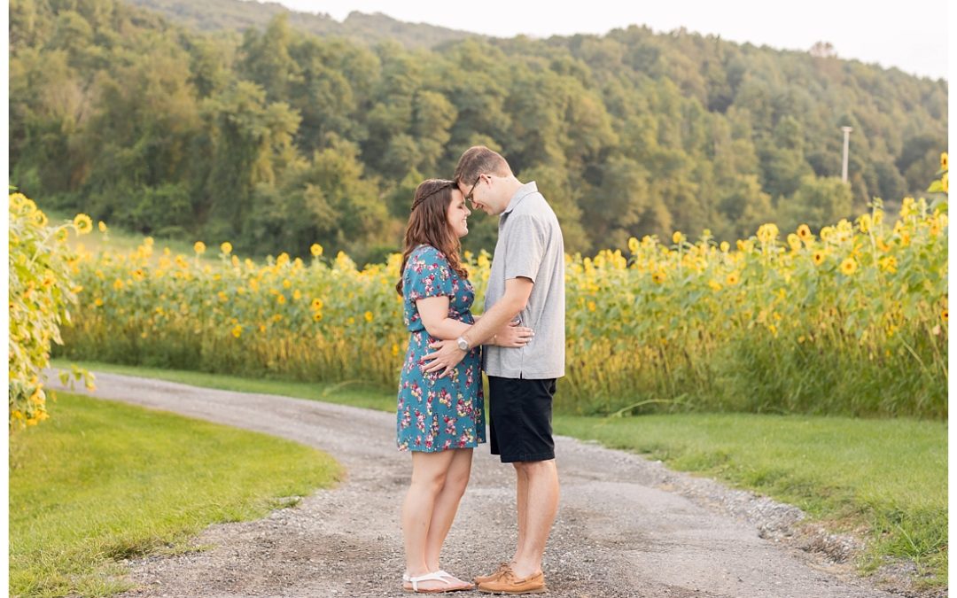 Maryland Sunflower Engagement Photos | Rebecca & Adam | The Sunflower Garden