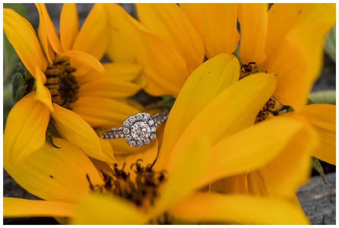 Maryland Wedding Photography Sunflower engagement photos. Maryland engagement. Bride and groom to be in flower fields. Flower fields maryland farm engagement photos. Engagement ring photos on Sunflowers.