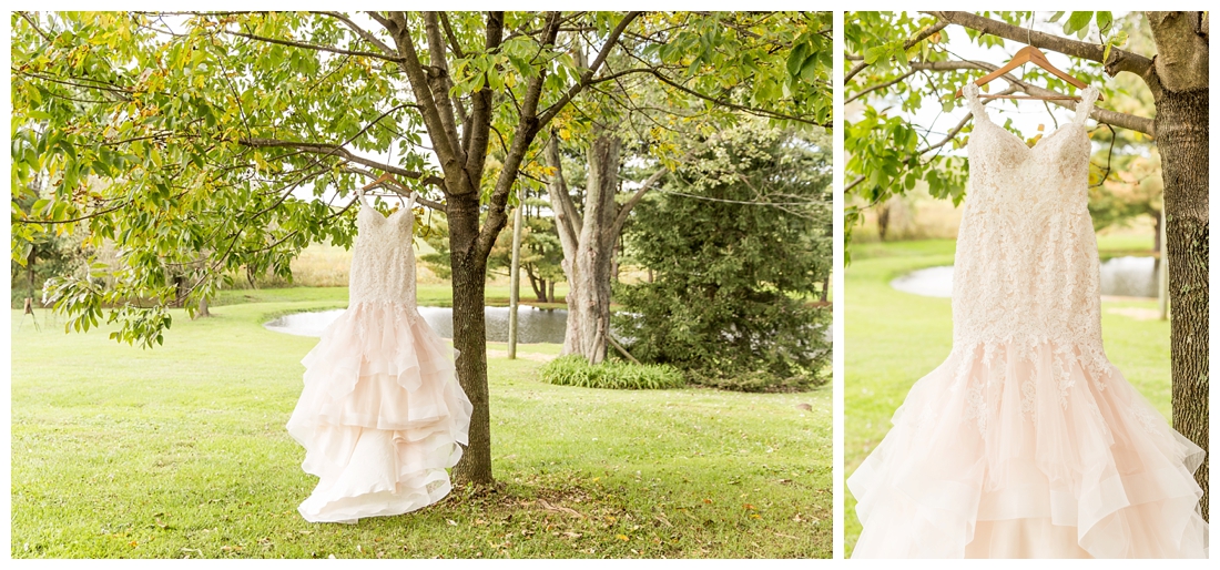 Fall wedding at The Royer House in Westminster Maryland. Cool fall day with dusty blue theme. Carroll County wedding. Cold Wedding day. Windy Wedding. Farm Wedding.  wedding gown. Brides gown hanging in trees.