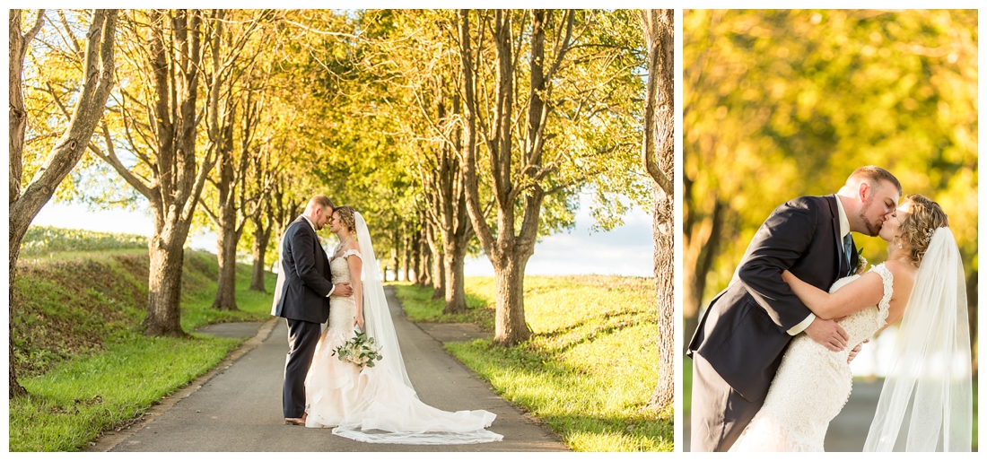 Fall wedding at The Royer House in Westminster Maryland. Cool fall day with dusty blue theme. Carroll County wedding. Cold Wedding day. Windy Wedding. Farm Wedding. bride and groom portraits. Portraits on a farm. fall wedding photos. long driveway lined with trees