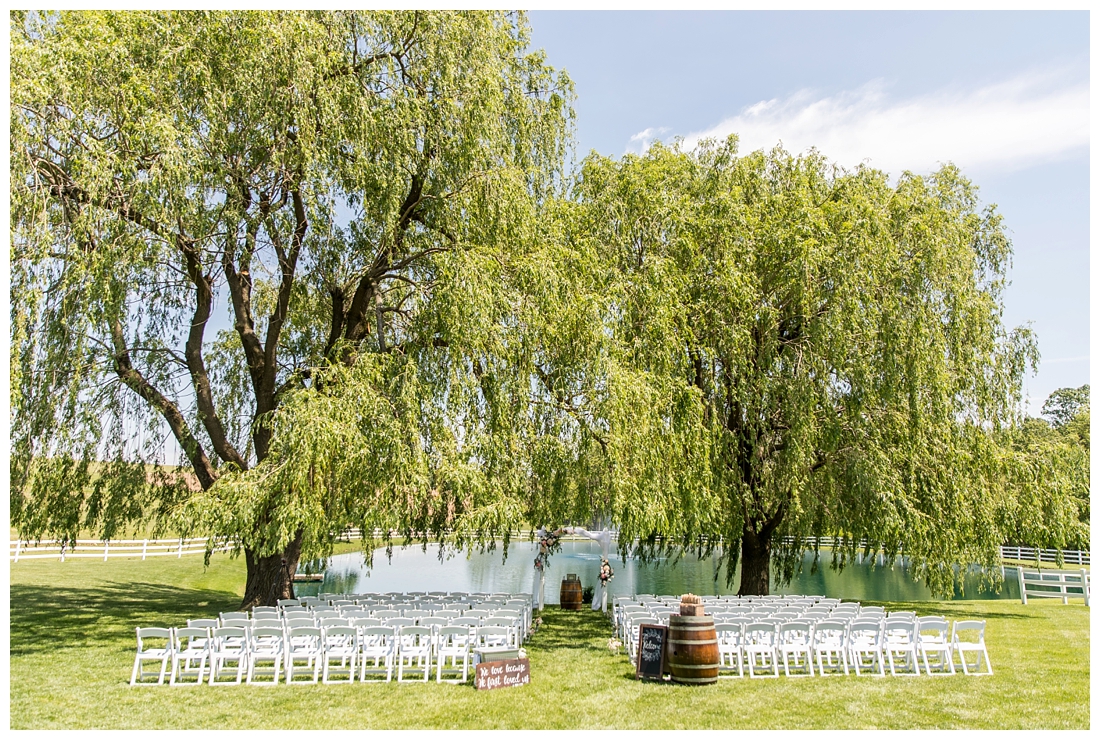 Pond View Farm Wedding White Hall Maryland Wedding Spring Wedding May Wedding Maryland Barn Wedding Blush Wedding Pond Waterfront Farm 2019 wedding