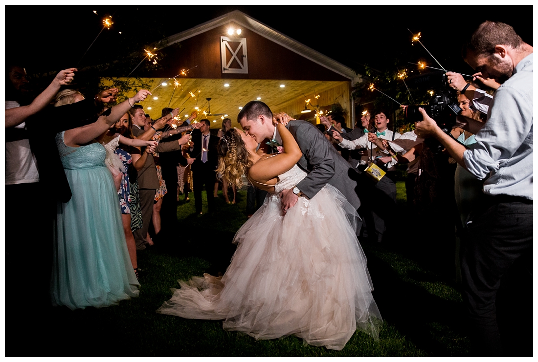 Pond View Farm Wedding White Hall Maryland Wedding Spring Wedding May Wedding Maryland Barn Wedding Blush Wedding Pond Waterfront Farm 2019 wedding