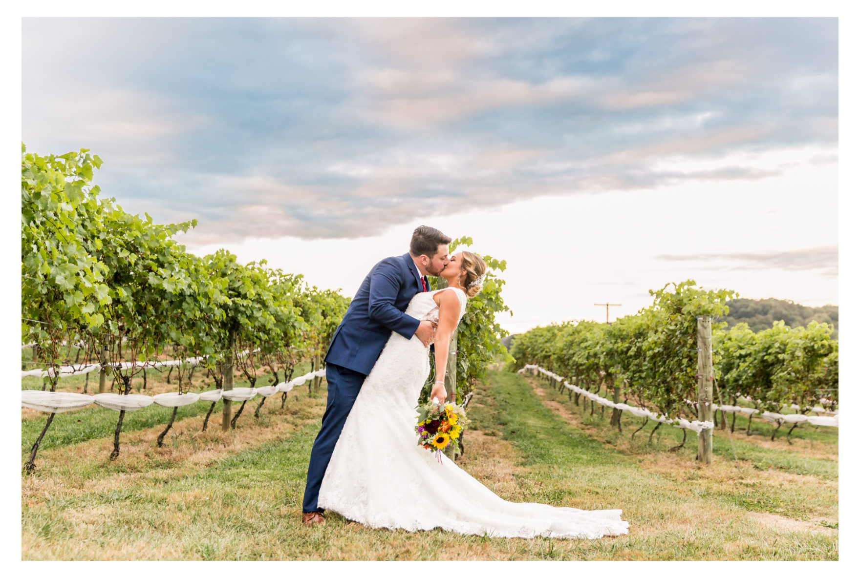 Linganore Winecellars wedding. Linganore winery wedding. winery wedding. fall wedding. frederick weddings. frederick wedding photographer. dog wedding. dog ring bearer. bernadoodle. barn wedding. 