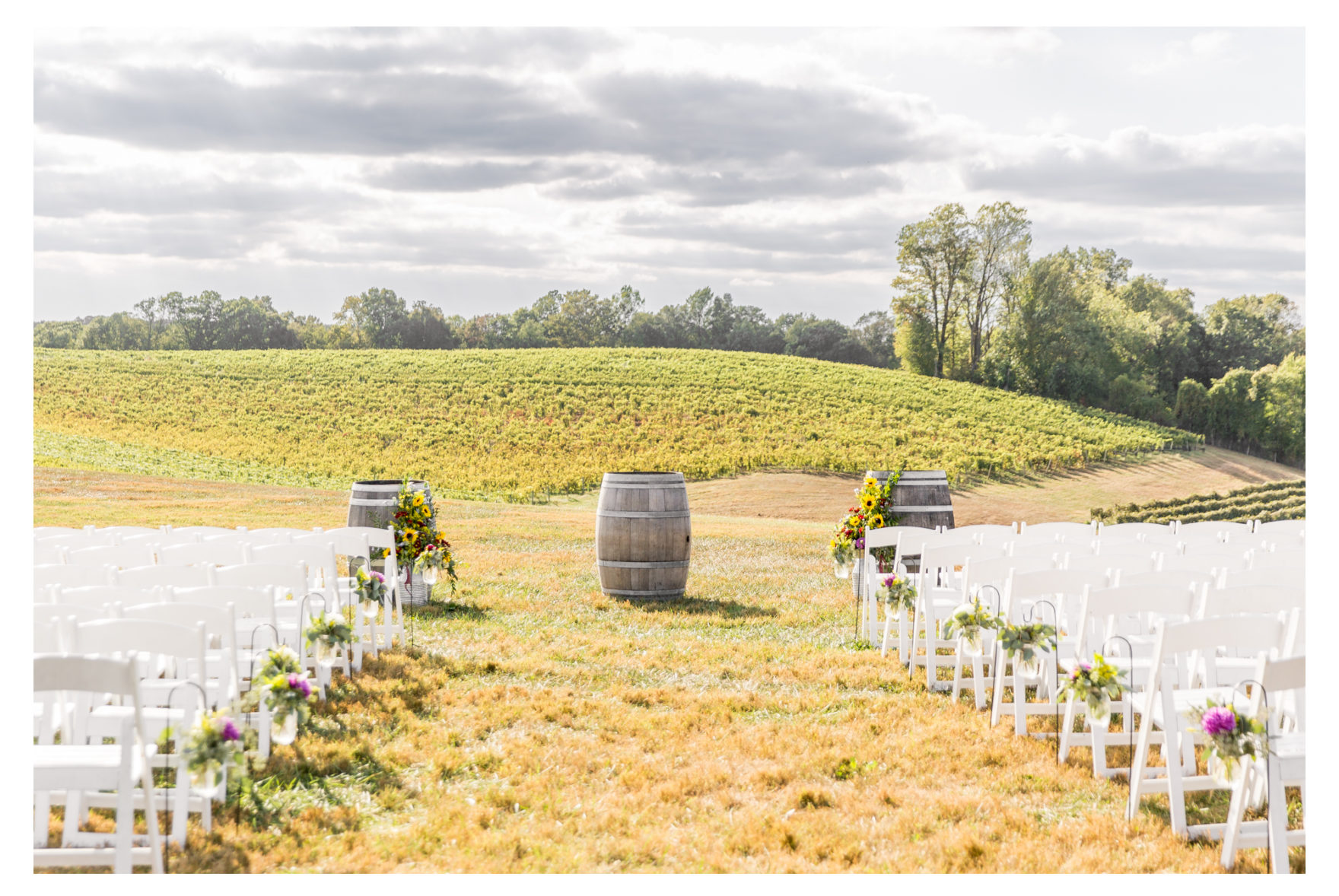 Linganore Winecellars wedding. Linganore winery wedding. winery wedding. fall wedding. frederick weddings. frederick wedding photographer. dog wedding. dog ring bearer. bernadoodle. barn wedding. 