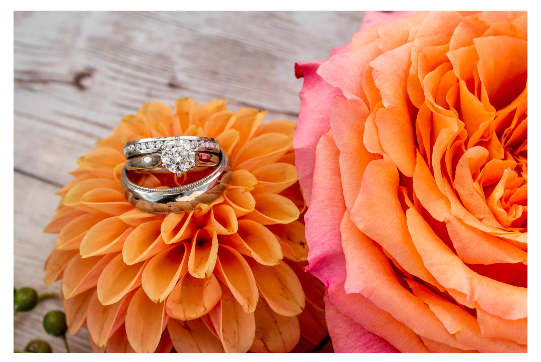 Fall Wedding. Catholic Wedding Ceremony. Westminster Maryland Wedding. Frederick Wedding Photographer. 