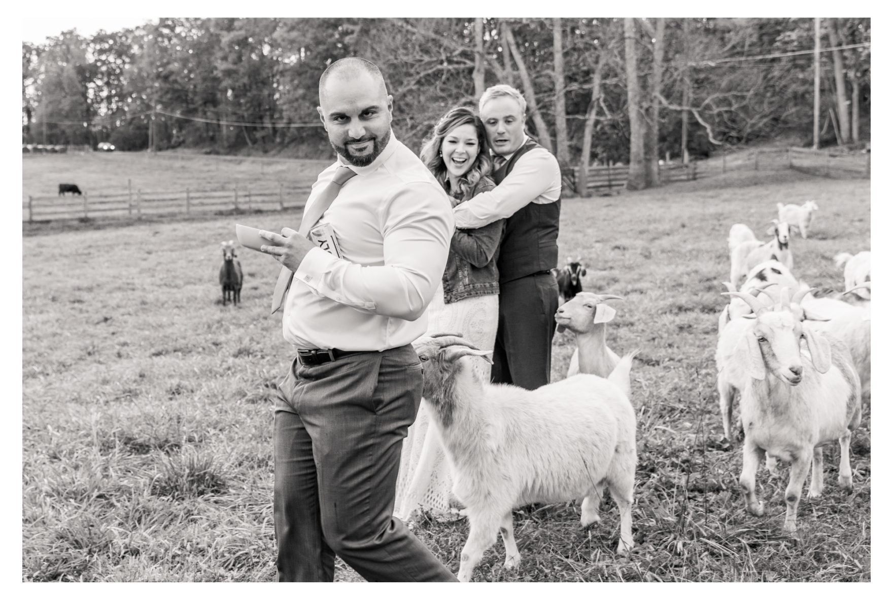 October Wedding. Farm Wedding. Fall Wedding. Frederick Wedding. Dog Wedding. Wedding Dogs. Goat Wedding. Goats. Pond. AirBnB. 