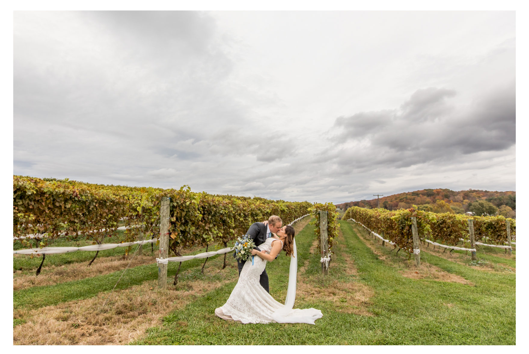 October Wedding. Farm Wedding. Fall Wedding. Frederick Wedding. Dog Wedding. Wedding Dogs. Goat Wedding. Goats. Pond. AirBnB. 