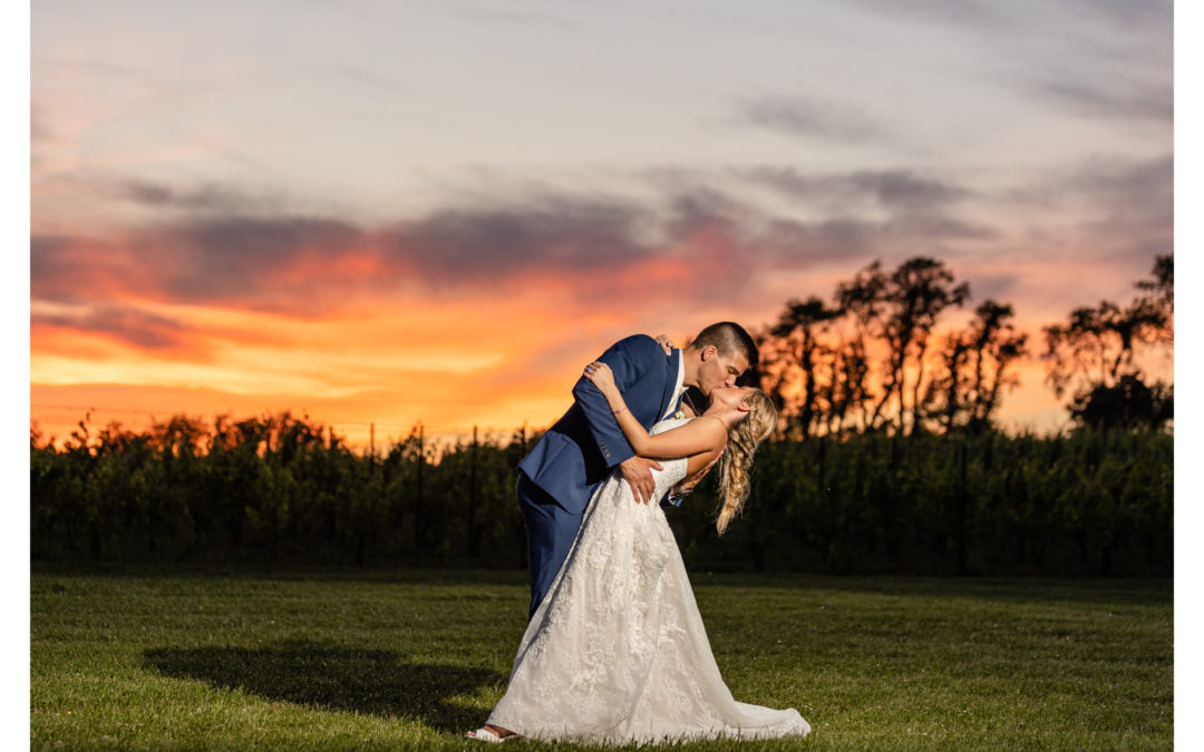 Black Ankle Vineyard | Winery Wedding | Morgan & Jason